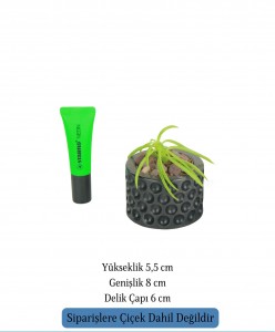 Mini Çiçek Saksı Küçük Sukulent Siyah Kaktüs Saksısı Puantiyeli Model